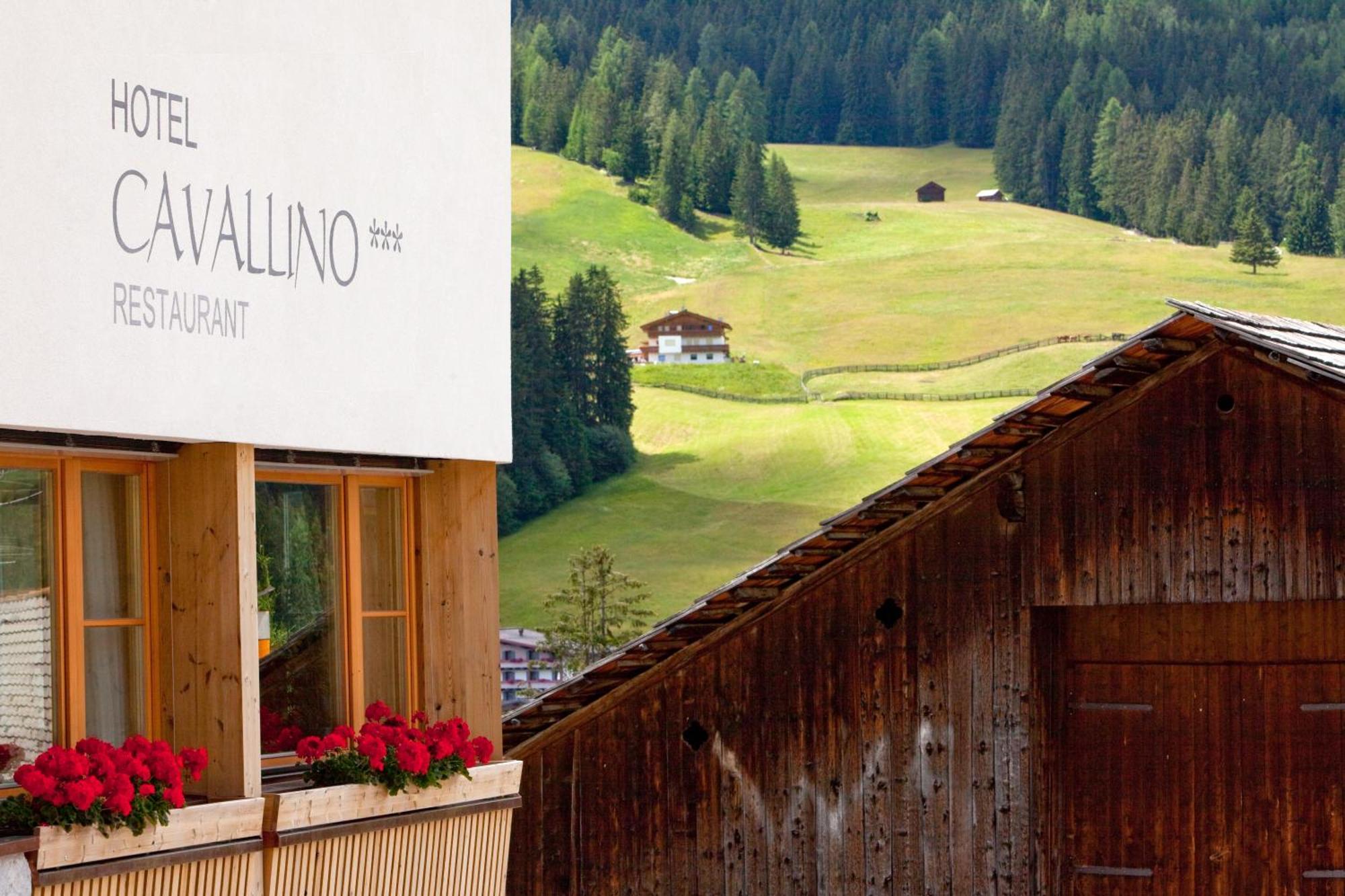 Hotel Cavallino Badia (South Tyrol)